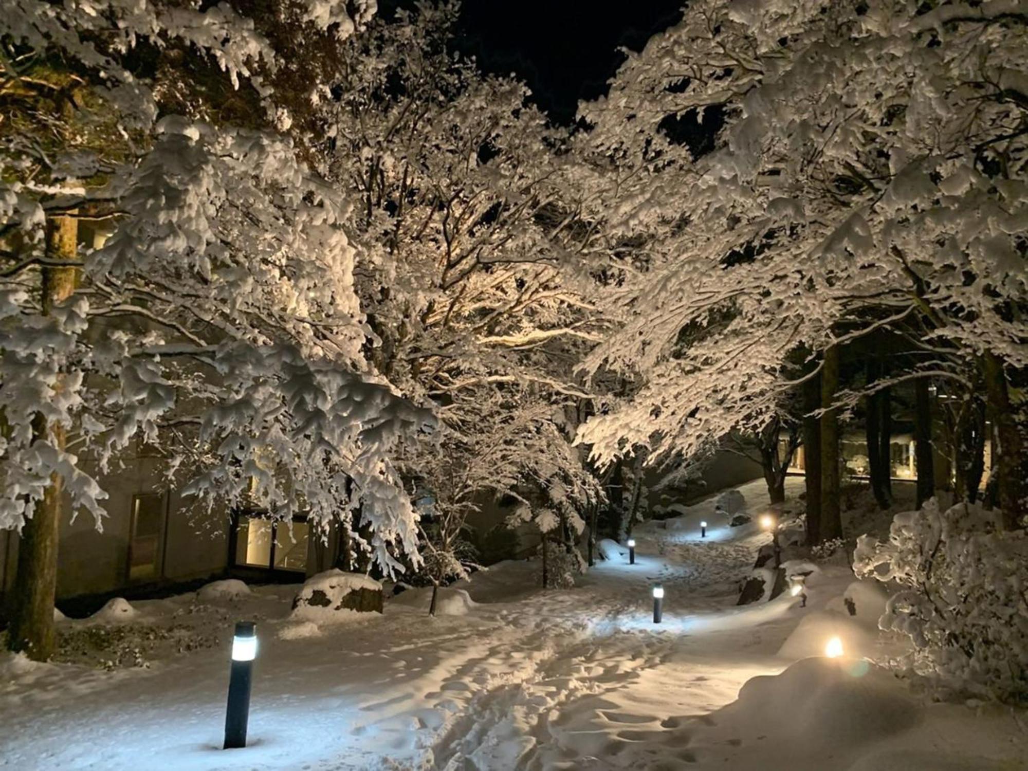 Hakone Yunohana Prince Hotel Kanagawa Kültér fotó