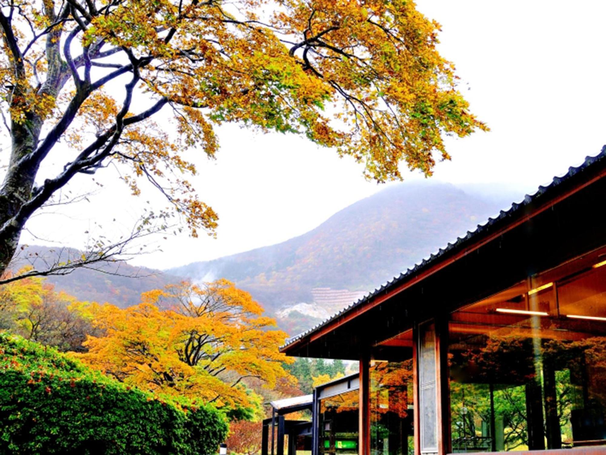 Hakone Yunohana Prince Hotel Kanagawa Kültér fotó