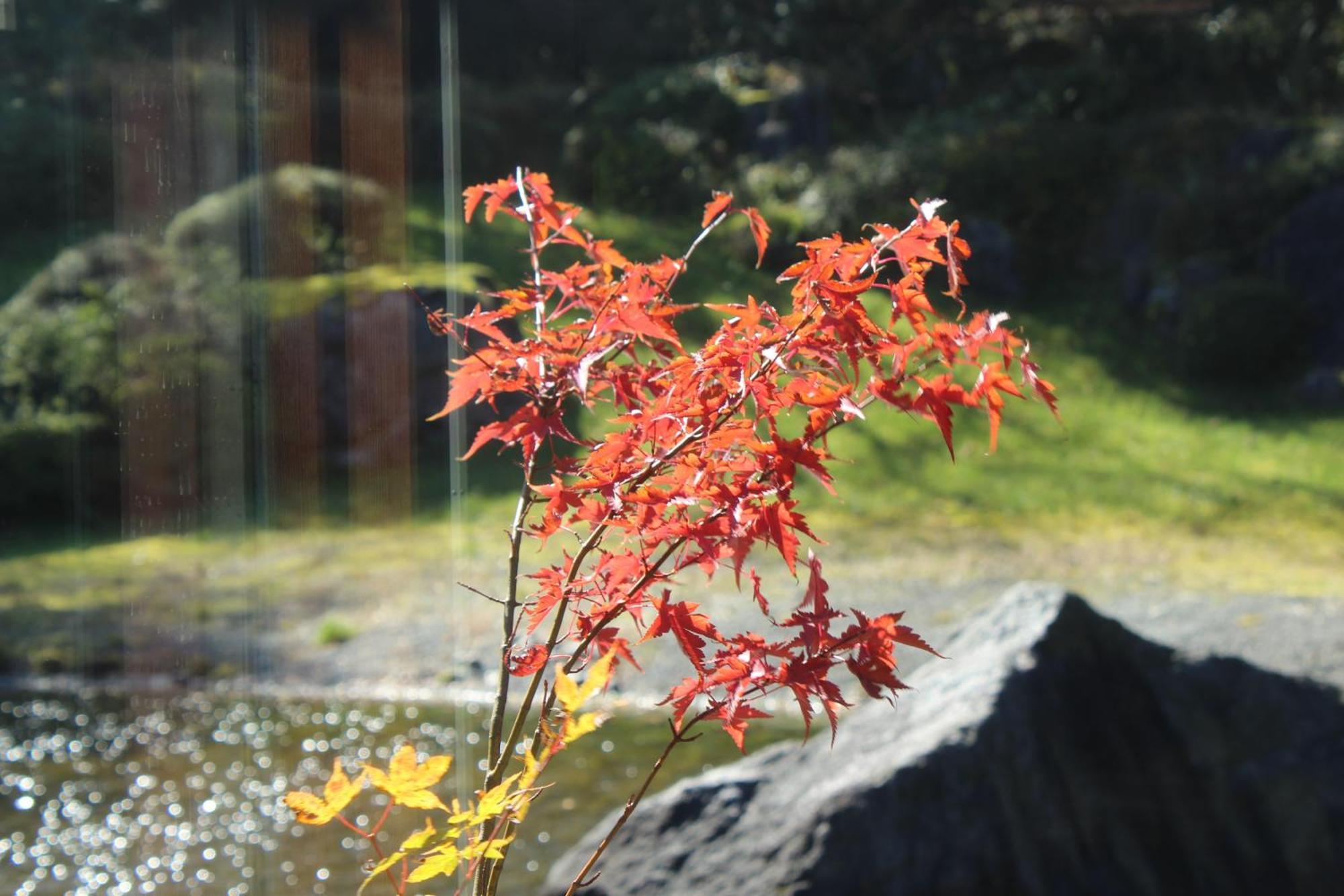 Hakone Yunohana Prince Hotel Kanagawa Kültér fotó