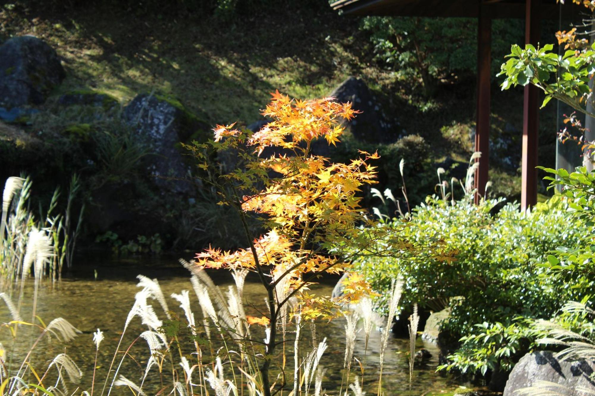Hakone Yunohana Prince Hotel Kanagawa Kültér fotó