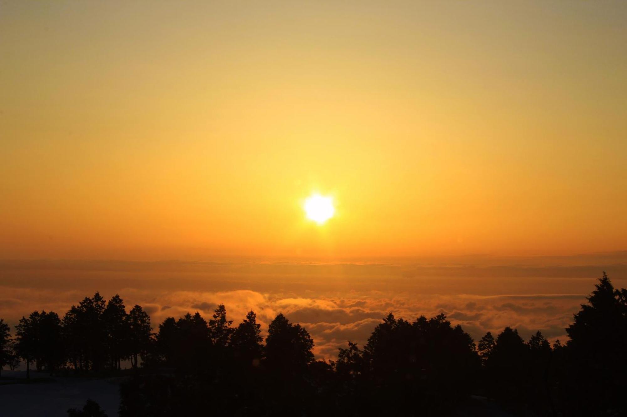 Hakone Yunohana Prince Hotel Kanagawa Kültér fotó
